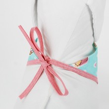 Bandana pra Cachorro 